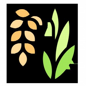Rice Processor & Merchant