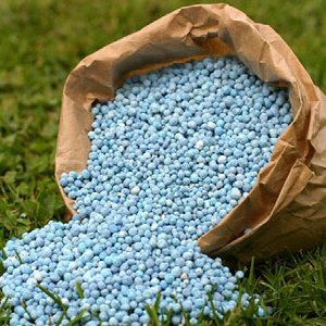 Fertilizer Manufacturers