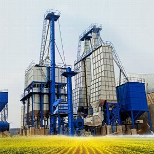 Paddy Parboiling and Dryers Plant